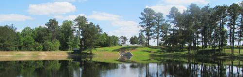 Photograph of Water Testing