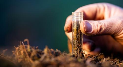 Photograph of Soil Testing