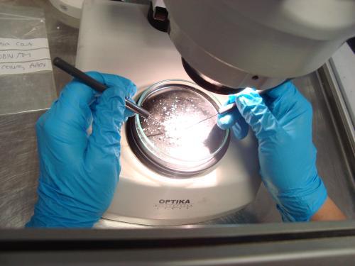 Photograph of Fibre Identification