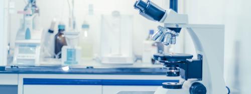 Photograph of Microbiological Testing