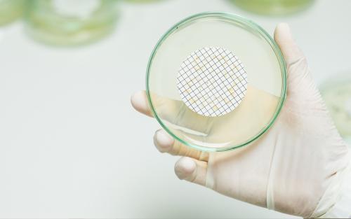 Photograph of Legionella Testing